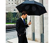 Мужские зонты Trust