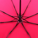 Женский зонт DripDrop 971