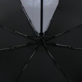 Зонт женский Nex 33941 Зонт женский Nex 33941