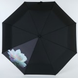 Зонт женский  Nex 33941