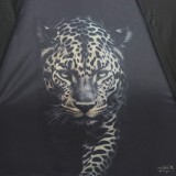 Зонт женский Nex 34921