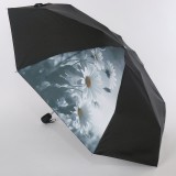 Зонт женский Nex 34921