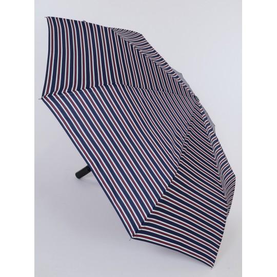 Женский зонт Rain Story R1170-09