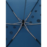 Женский зонт  Rain`s Talk  R5034-6