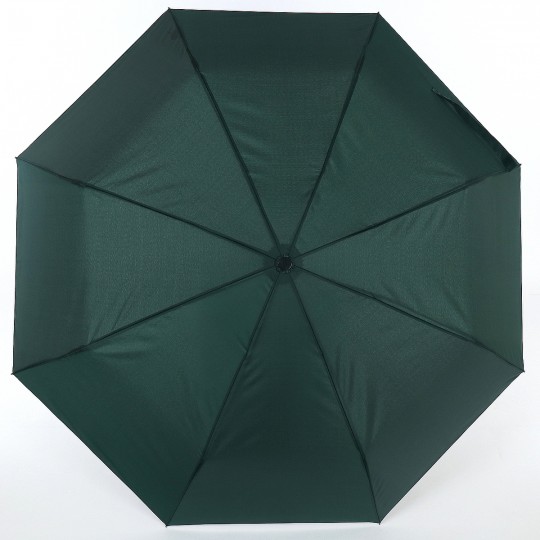 Зелёный зонт ArtRain арт.3210-6